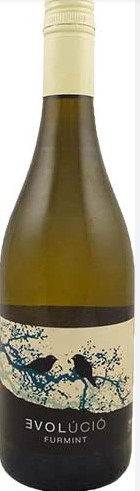 Product Image for Evolucio Furmint